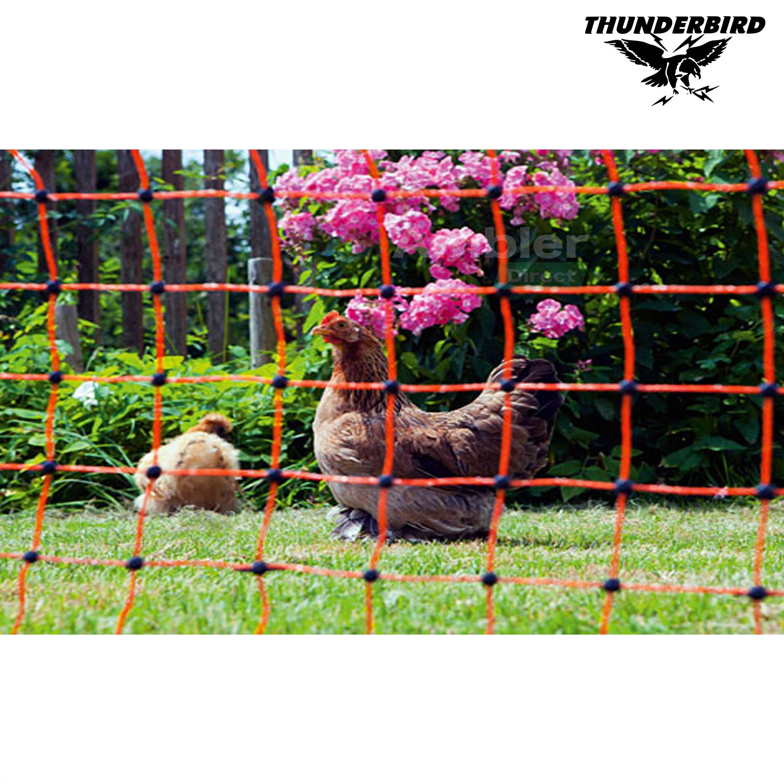 Thunderbird 50m x 106cm Electric Poultry Netting | EF-PNET