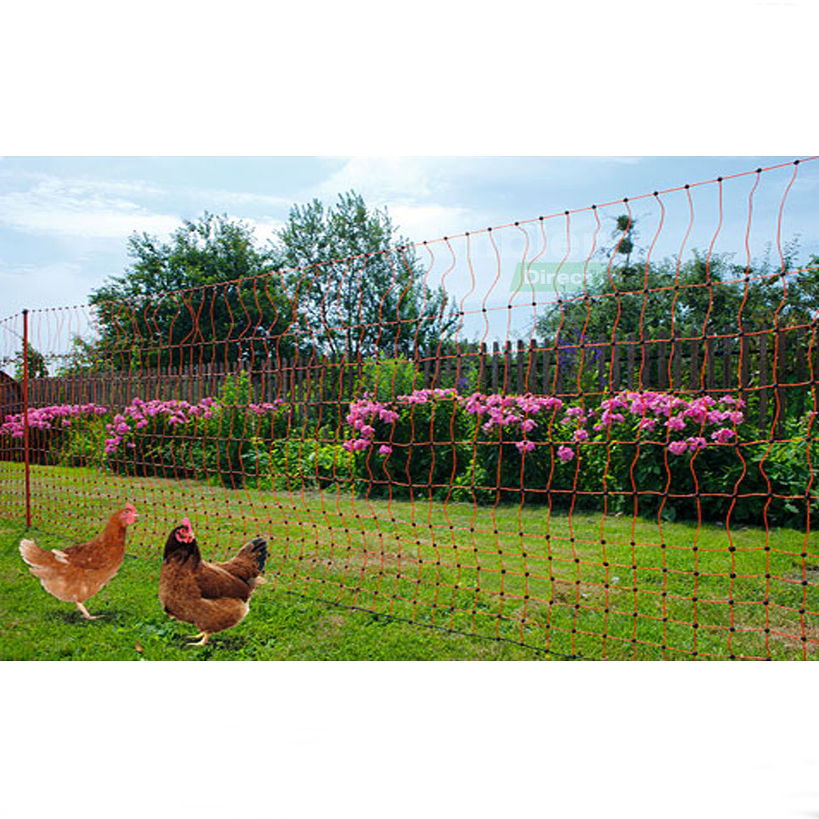 Thunderbird 50m x 106cm Electric Poultry Netting | EF-PNET