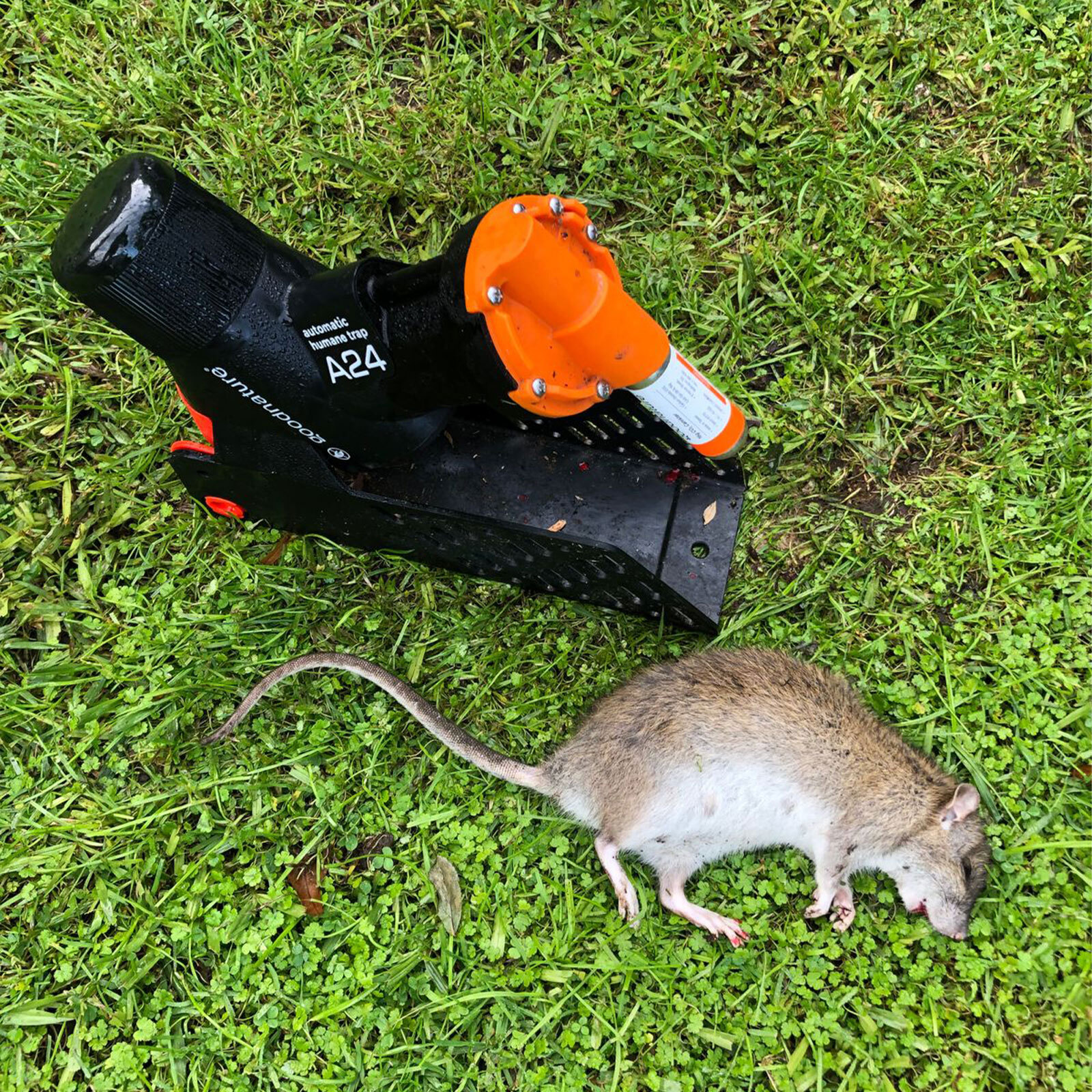 Humane Mouse Trap Rat Trap Portable Trap Stand Automatic Paste Pump CO2  Canister Mouse Rat Trap Pest Control Rat