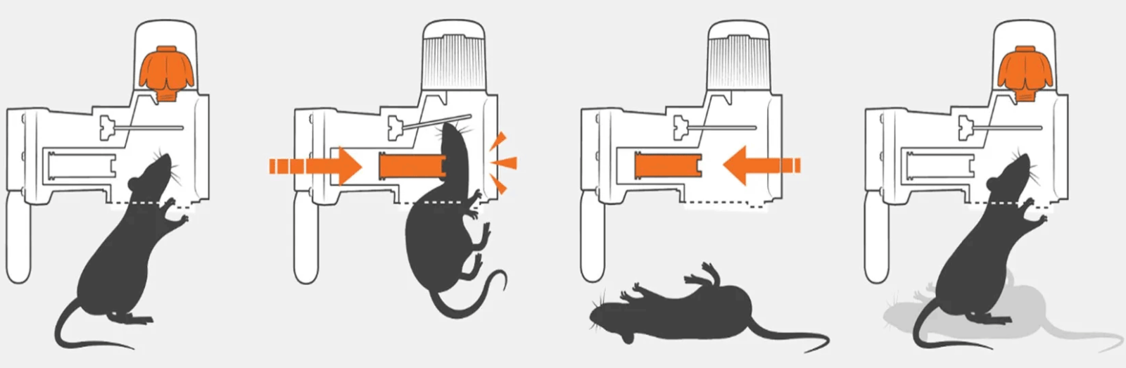 How the GoodNature rodent trap works