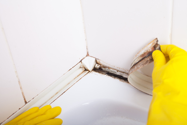 Dirty tiles in a bathroom shower with sealant covered in mould and mildew