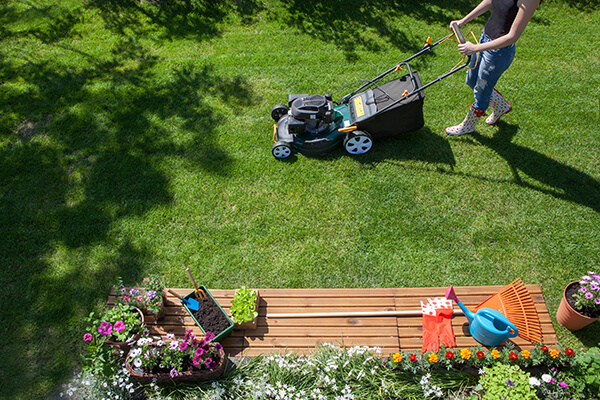 4 Power Tools Every Gardener Should Have in Their Shed