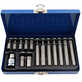 ProAm by KC Tools 15pc Star Bit Set