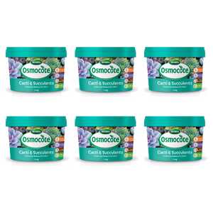Scotts 6 Pack 500g Osmocote Controlled Release Fertiliser for Cacti & Succulents