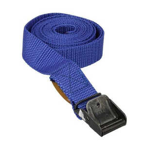 Fasty 2m x 25mm 400kg Rated Lock Strap | Blue