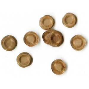 Walbro 10 Pack Carburettor Screen | 140-49-8
