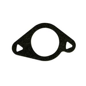 Briggs & Stratton Lawnmower Intake Gasket | 272199S