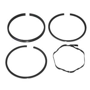 Briggs & Stratton Lawnmower Piston Ring Set | 391654
