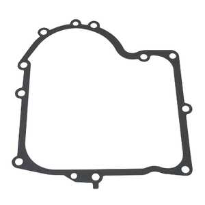 Briggs & Stratton 10 Pack Lawnmower Crankcase Gasket | 4163