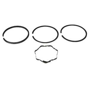 Briggs & Stratton Lawnmower Piston Ring Set | 499996