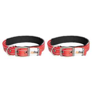 AgBoss 2 Pack 25mm x 50cm Dog Collar | Red | 500900