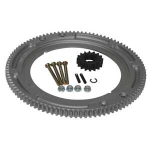 Briggs & Stratton Lawnmower Ring Gear | 696537