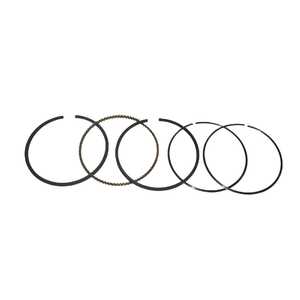 Briggs & Stratton Lawnmower Piston Rings | 795690
