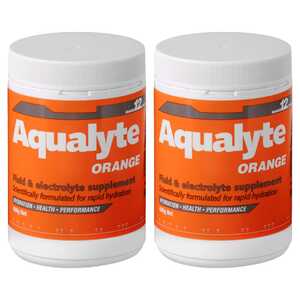 Aqualyte 2 Pack 480g Fluid & Electrolyte Supplement Powder | Orange | A-O480G5M