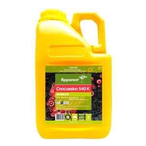 Apparent 5L Concussion 540 Glyphosate Herbicide | 18262