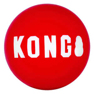 Kong 2 Pack Signature Dog Toy Balls | Small | DAK9224