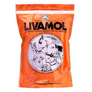 IAH 2kg Livamol Skin and Coat Conditioning Nutritional Supplement | DHL0120