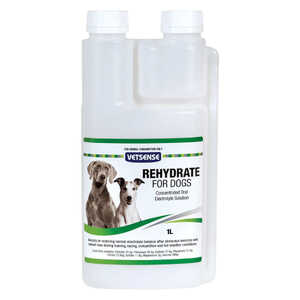 Vetsense 1L Rehydrate Electrolyte Solution for Dogs | DHV1260