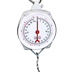 AgBoss 10kg Hanging Clock Face Scales