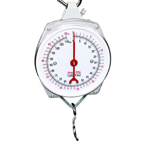 AgBoss 25kg Hanging Clock Face Scales