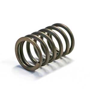 RATO Engine & Generator Valve Spring | RV340D / R8750ID | JMRT1193