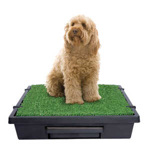 PetSafe Pet Loo Pet Toilet | Medium