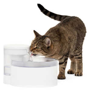 PetSafe 1.7L Outlast Pumpless Pet Water Fountain | PWW10-17958