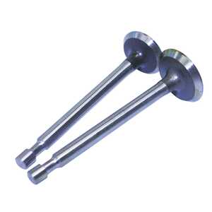 JAK Max Lawnmower Intake / Exhaust Valve | Robin EY-20 | RO0021