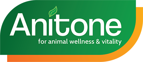 Anitone